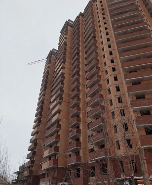 Ноябрь 2023