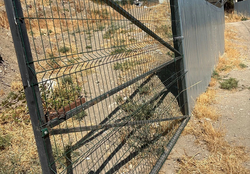 фото (1) Сентябрь 2025