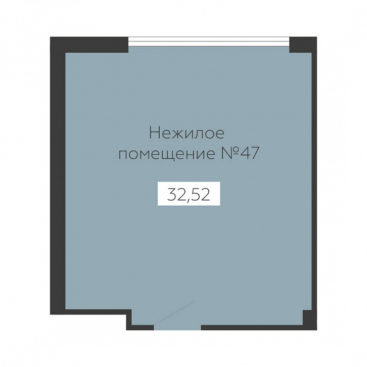 Помещение 0000036145 (Sintez; ) планировка