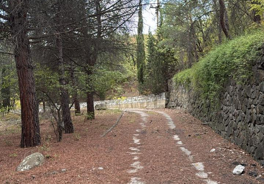 фото (1) Октябрь 2025