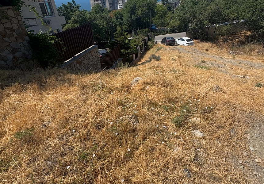 фото (1) Август 2025