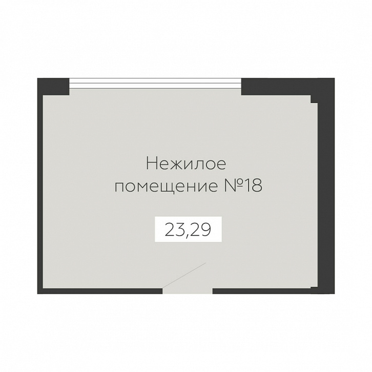 Помещение 0000036116 (Sintez; ) планировка
