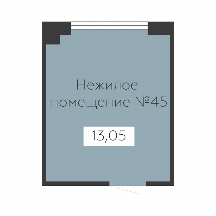 Помещение 0000036143 (Sintez; ) планировка