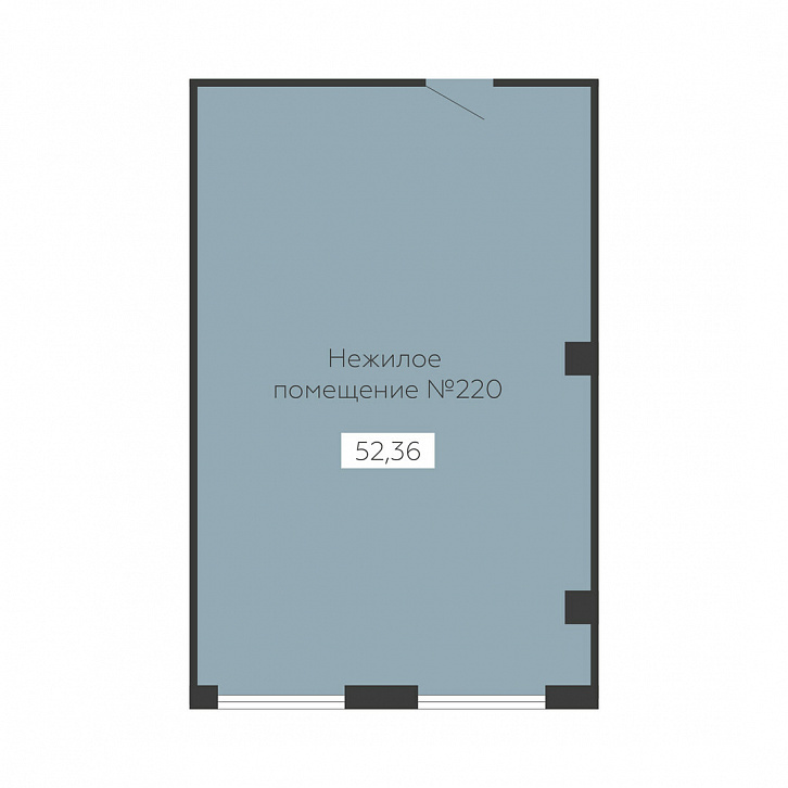 Помещение 0000038531 (Sintez; ) планировка