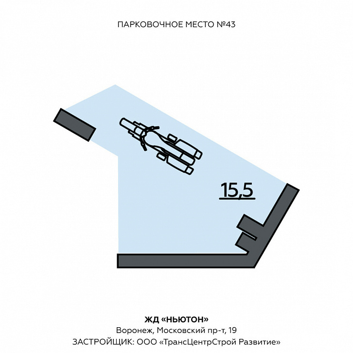 Помещение 0000010799 (Ньютон; г. Воронеж, Московский пр. 19) планировка