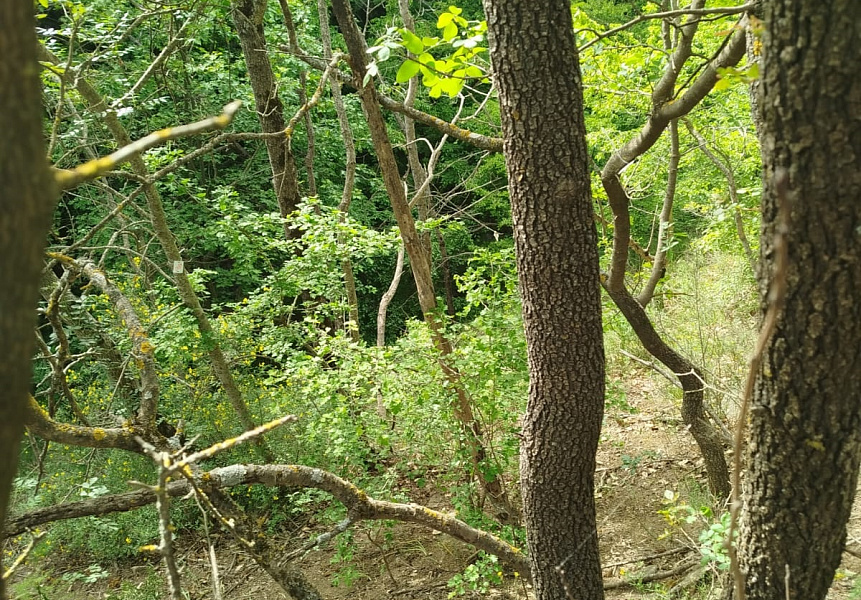 фото (1) Август 2025