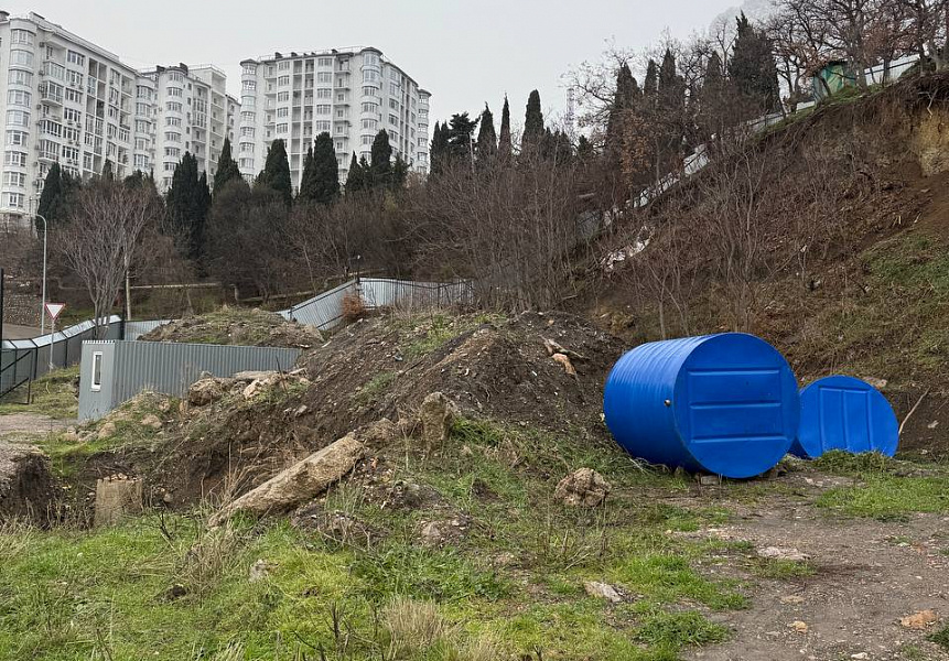 фото (1) Январь 2026