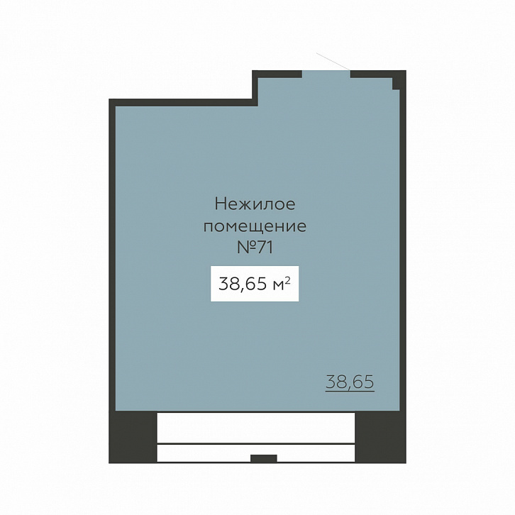 Помещение 0000030100 (Senator; ) планировка