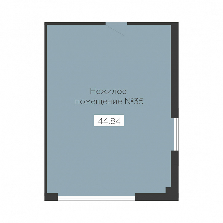 Помещение 0000036133 (Sintez; ) планировка