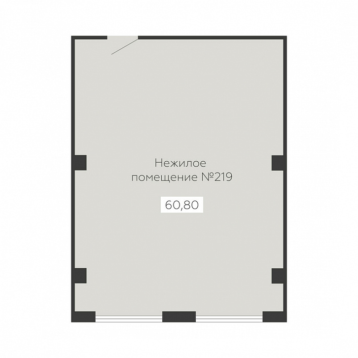 Помещение 0000038530 (Sintez; ) планировка