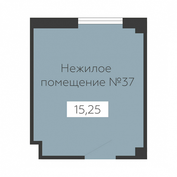 Помещение 0000036135 (Sintez; ) планировка
