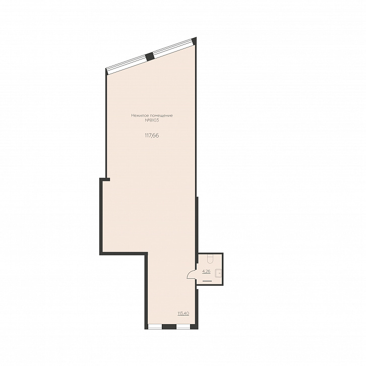 Помещение 0000039190 (Заря; Воронеж, Ленинградская 29Б) планировка