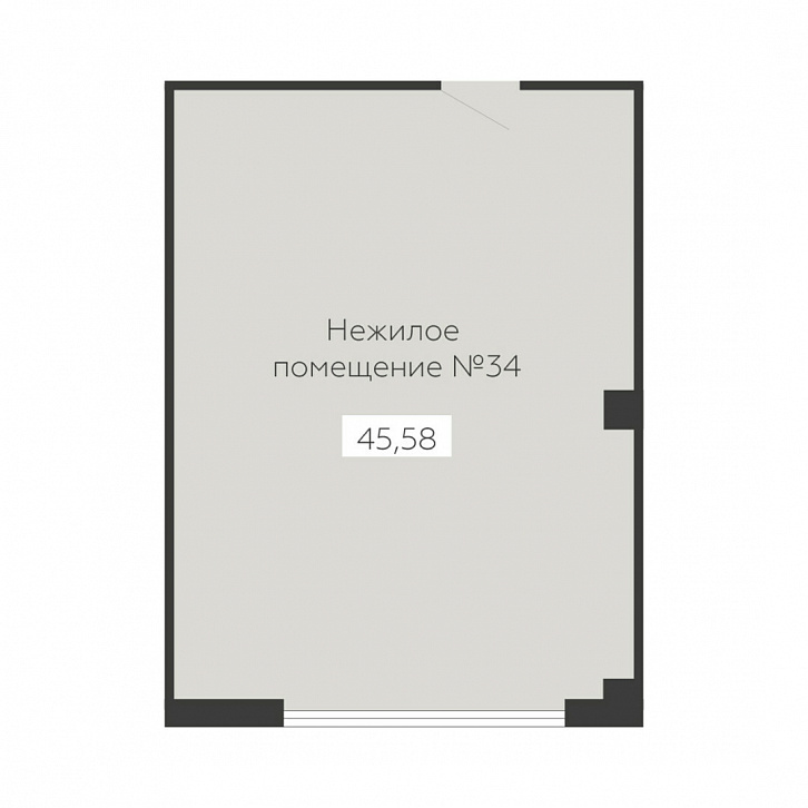 Помещение 0000036132 (Sintez; ) планировка