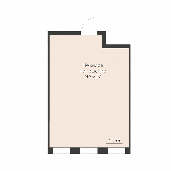 Помещение 0000039221 (Заря; ) планировка