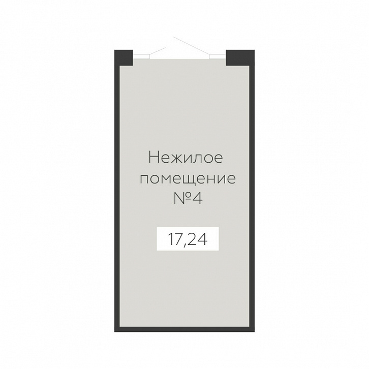 Помещение 0000038355 (Sintez; ) планировка