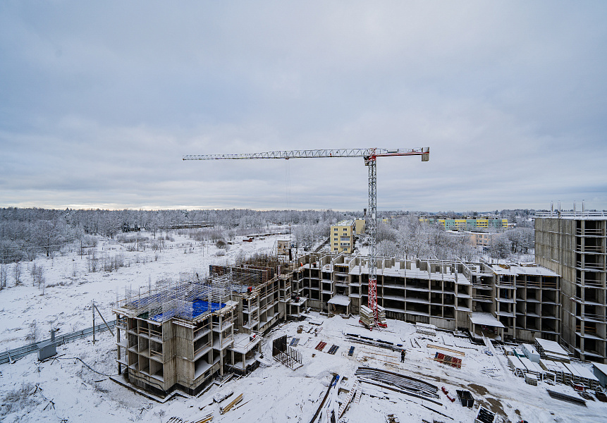 фото (1) Декабрь 2025