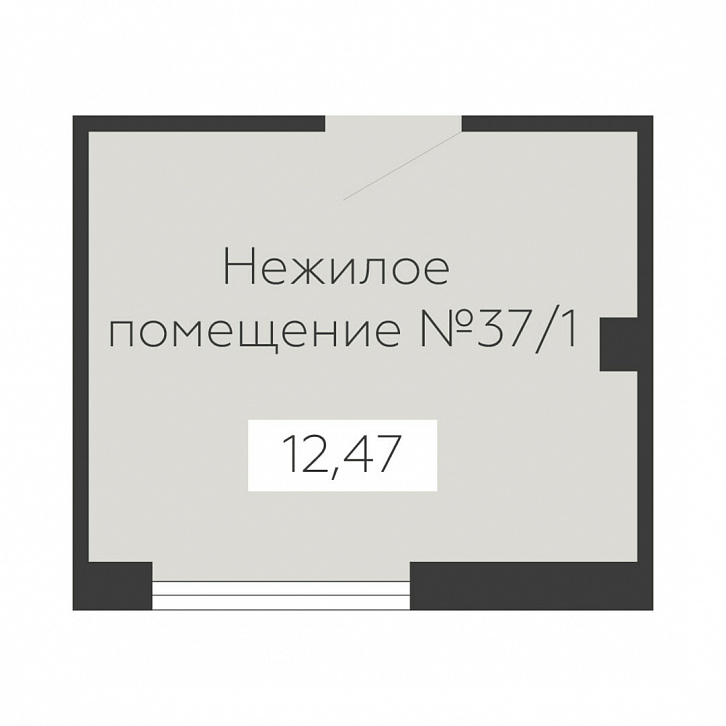 Помещение 0000038412 (Sintez; ) планировка
