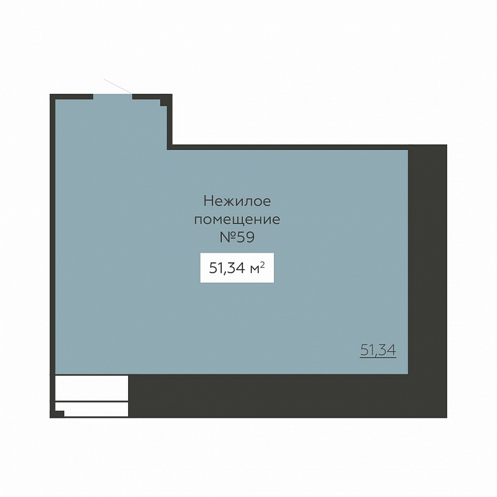 Помещение 0000030088 (Senator; ) планировка