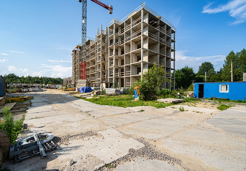 фото (1)  Август 2025